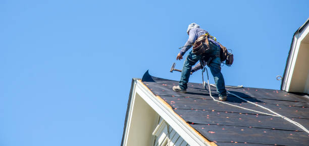 Best Roof Gutter Cleaning  in Perry, KS